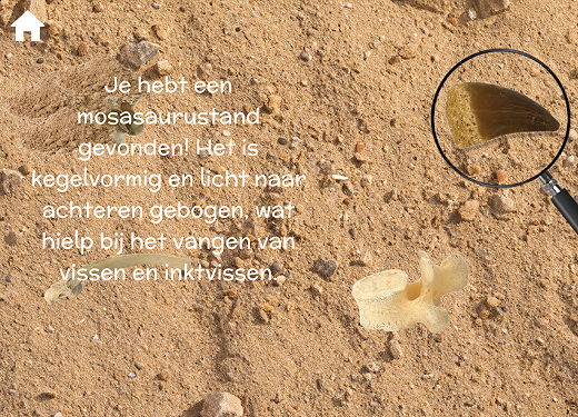 eerste-prototype-fossil-finders